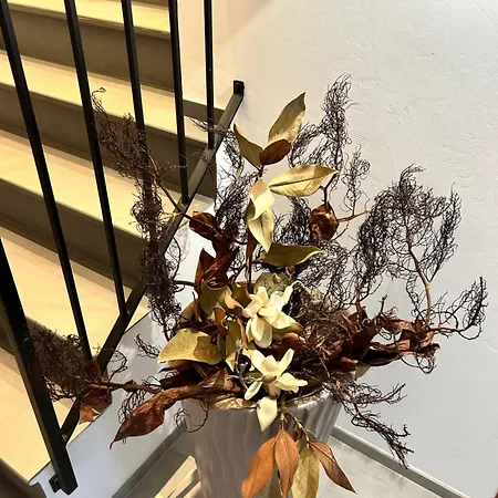 Madera Bed & Breakfast 3*